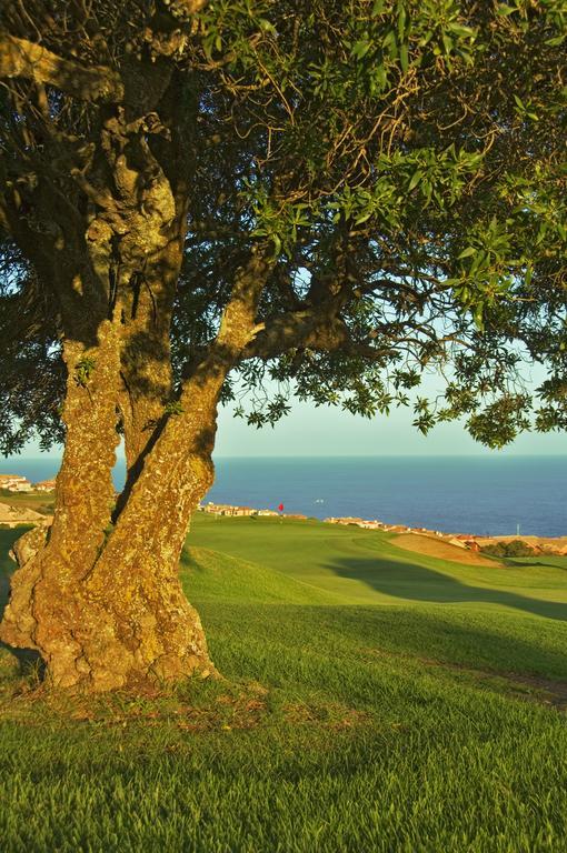 Mossel Bay Golf Lodge Dış mekan fotoğraf